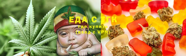 прущий лед Алзамай