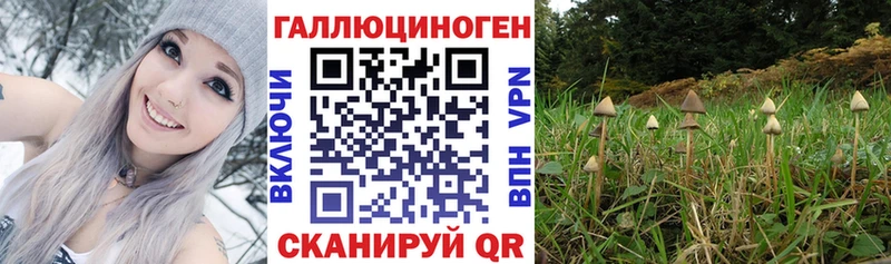 blacksprut онион  Выкса  Псилоцибиновые грибы прущие грибы 